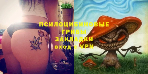ПСИЛОЦИБИНОВЫЕ ГРИБЫ Переславль-Залесский