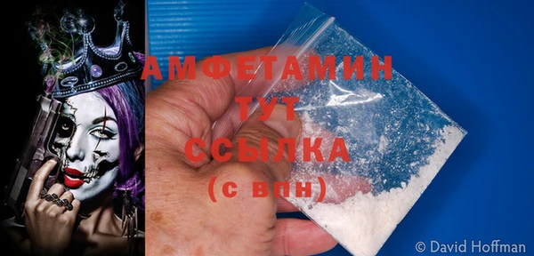 ПСИЛОЦИБИНОВЫЕ ГРИБЫ Переславль-Залесский