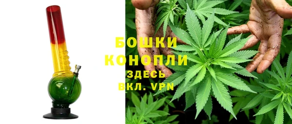 гашик Бородино