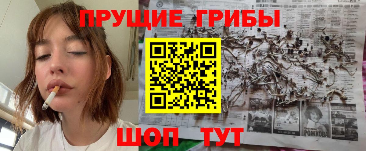 Березники  Псилоцибиновые грибы Psilocybe  Вход с VPN  Псилоцибиновые грибы GOLDEN TEACHER 