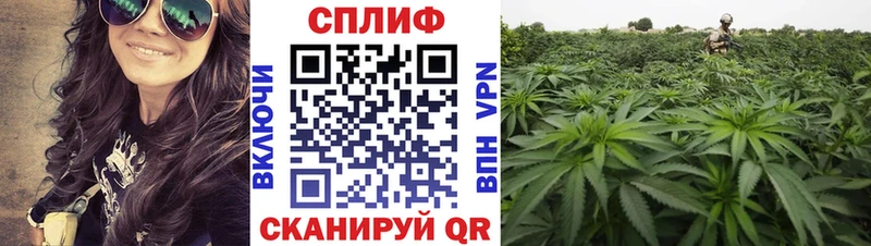 МАРИХУАНА Amnesia  блэк спрут ТОР  Березники 